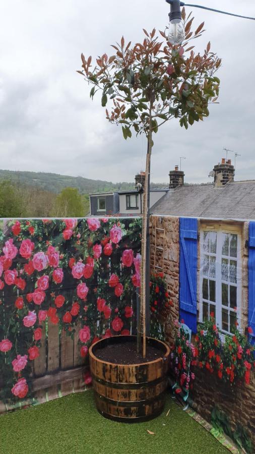 Park House Studio Matlock  Exterior photo